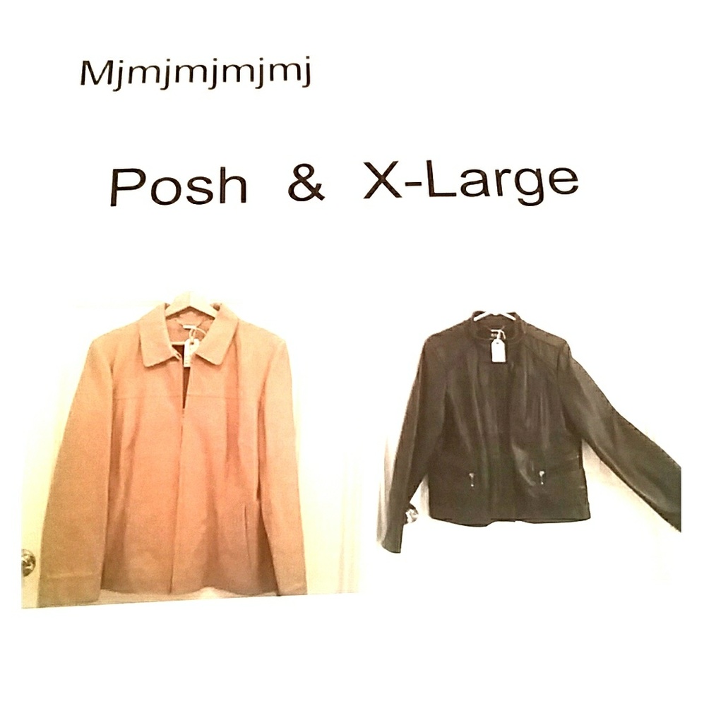 Posh X-Large